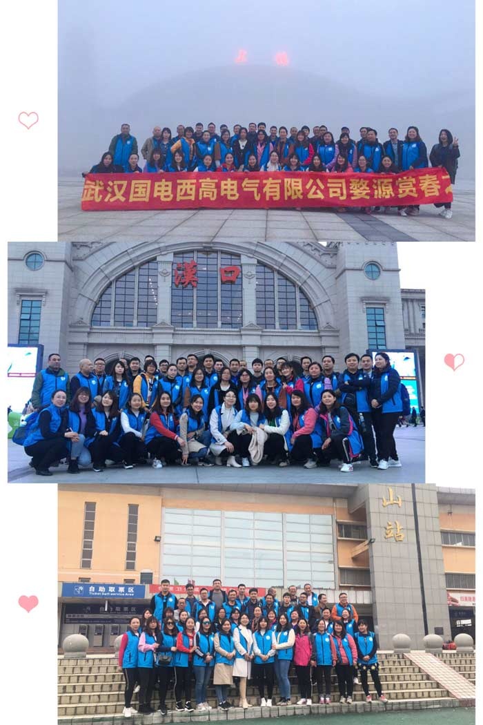 国电西高邂逅最美的春天——婺源赏花之旅