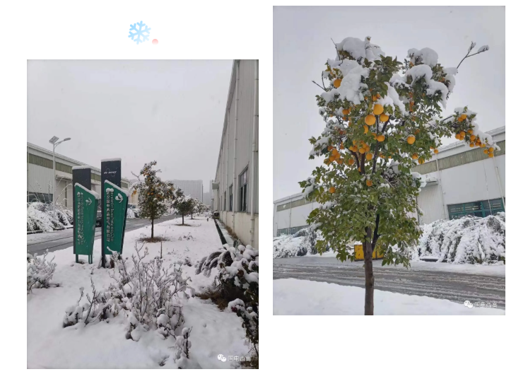 瑞雪兆丰年，开工大吉！
